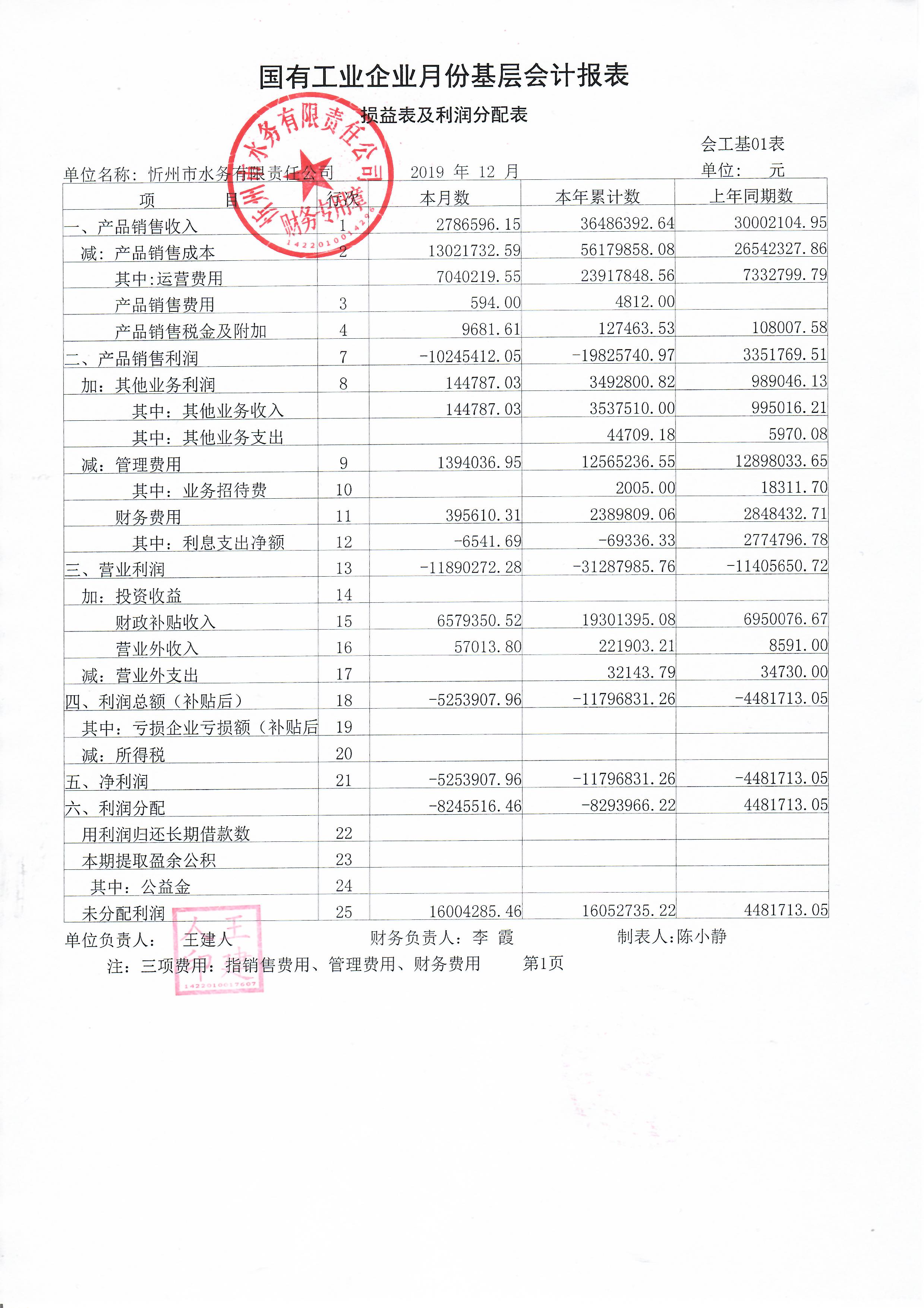 会计报表2019年度.jpg